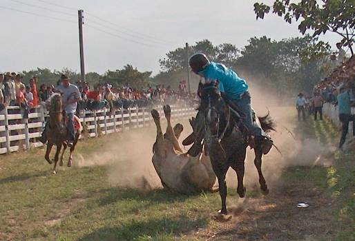 Feria de Tame