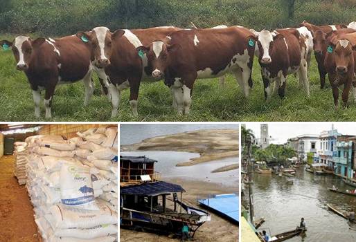 verano en antioquia, invierno en antioquia, Ganaderos de Antioquia, sector lechero de Antioquia, daños en vías terciarias en Antioquia, CONtexto ganadero