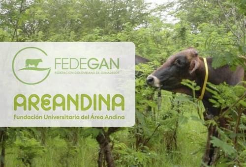 Ganadería, ganadería colombia, noticias ganaderas, noticias ganaderas colombia, CONtexto ganadero, fundacion area andina, área Andina, programa profesional produccion ganaderia sostenible, tecnico en produccion ganaderia sostenible, fedegan y area andina