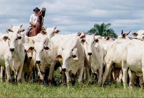 Ganadero exige sus derechos