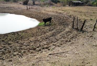 Ganaderos de Atlántico y Magdalena sequía