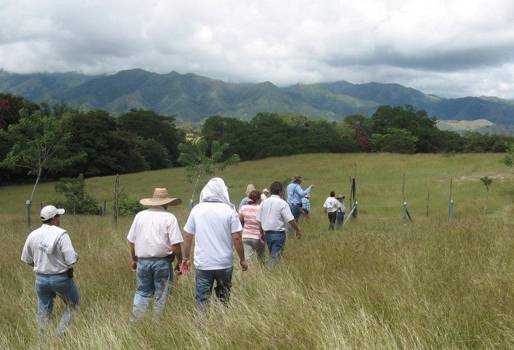 ganadería en Colombia