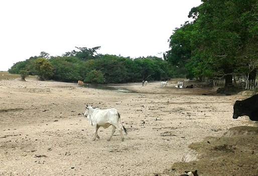 Sequía en Casanare