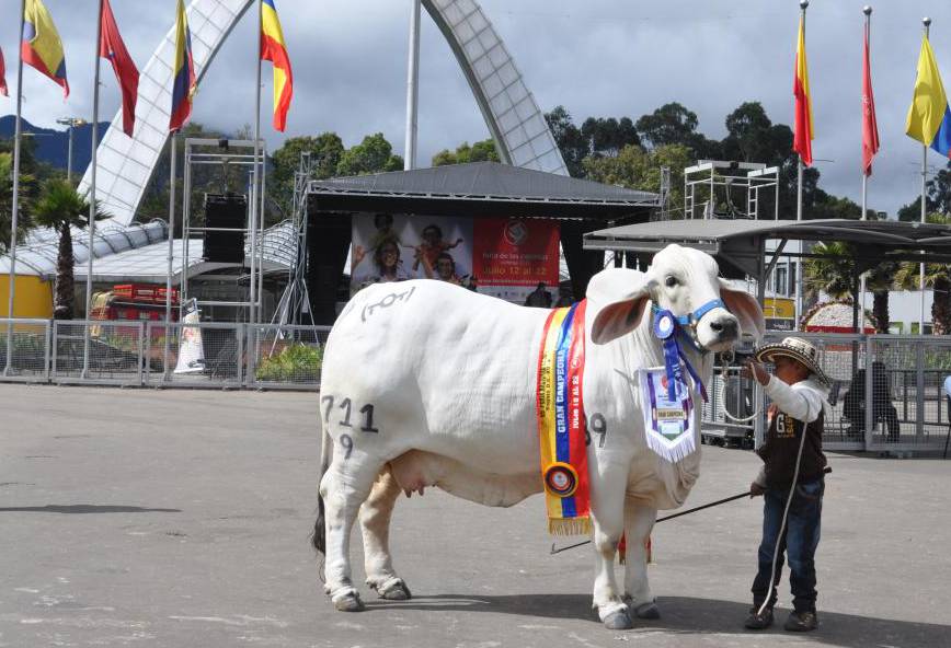 Ganadería, ganadería colombia, noticias ganaderas, noticias ganaderas colombia, CONtexto ganadero, agroexpo, agroexpo colombia, agroexpo 2021, agroexpo presencial 2021, corferias, feria agroexpo corferias, ferias ganaderas, eventos ganaderos, ferias ganaderas 2021, eventos ganaderos presenciales, 