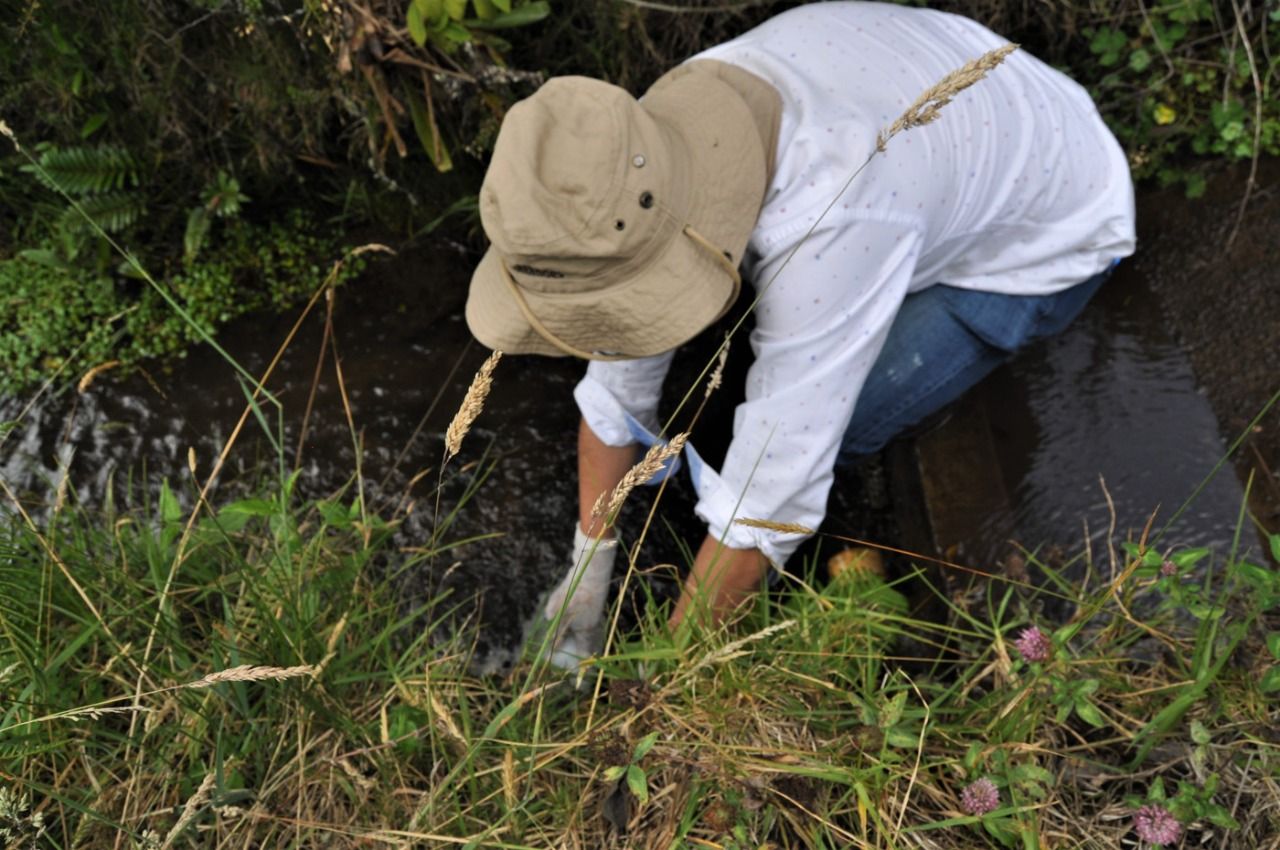 Sondas artesanales para medir contaminación del agua