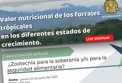 Eventos ganaderos, charlas académicas, charlas académicas ganaderas, charlas junio 2021, valor nutricional de los forrajes tropicales, zootecnia, Soberanía alimentaria, Seguridad Alimentaria, Fundación Capitán Yunyi, charlas ganaderas, charlas, Colombia, charlas ganadería, ganado bovino, ganadería bovina, ganaderos, ganaderos colombia, ganado, vacas, vacas Colombia, bovinos, Ganadería, ganadería colombia, noticias ganaderas, noticias ganaderas colombia, CONtexto ganadero, contextoganadero