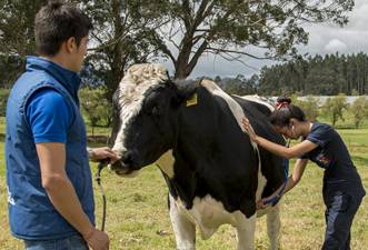 ganadería, ganadería colombia, noticias ganaderas, noticias ganaderas colombia, contexto ganadero, Guía para el manejo de garrapatas y adaptación al cambio climático, Universidad de La Salle Colombia, IICA, Jaime Romero Prada, Efraín Benavides Ortiz y Luis Carlos Villamil Jiménez, garrapatas y cambio climático, impacto económico de la garrapata en la ganadería,