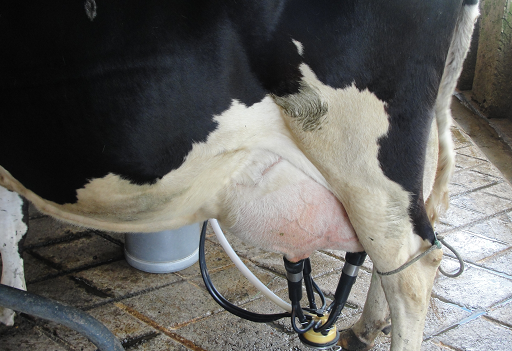 Andrés Jaramillo Bernal Cuenta Parafiscal de la Carne y la Leche, Colombia Cuenta Parafiscal de la Carne y la Leche, NFG Cuenta Parafiscal de la Carne y la Leche, Colanta Cuenta Parafiscal de la Carne y la Leche, CONtexto ganadero, ganadería Colombia