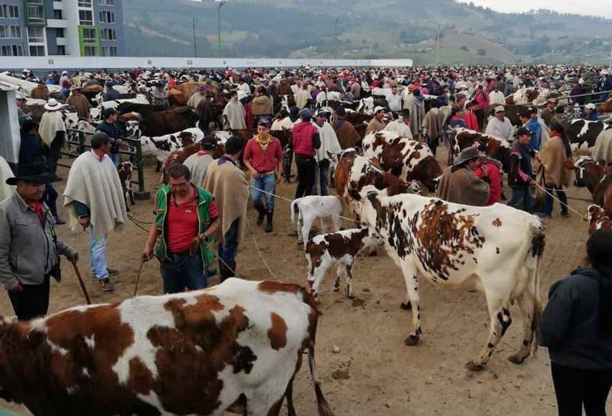 feria ganadera Boyacá