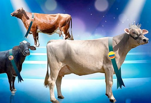 V Festival y Congreso Internacional de la Leche