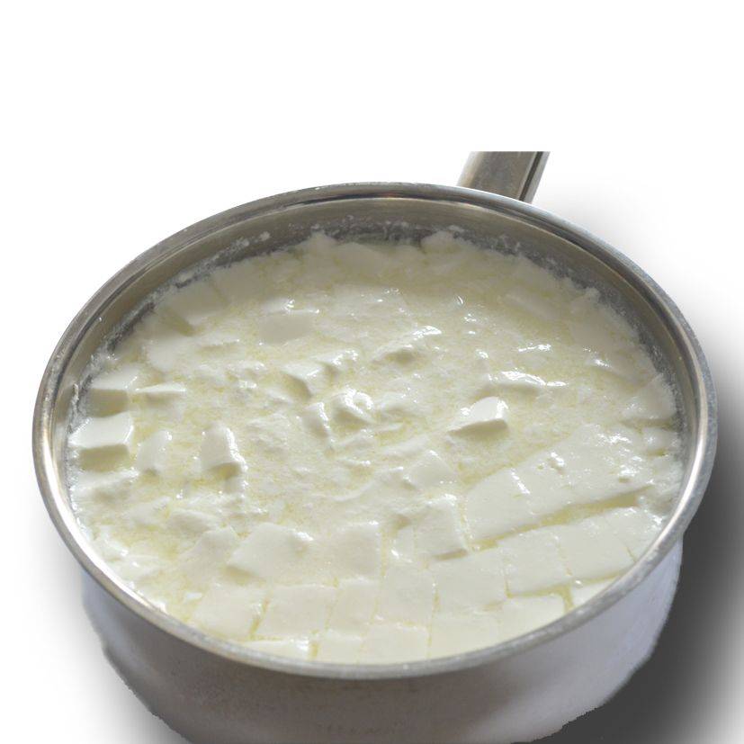 Cuajo para hacer queso