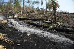 Unas 5.800 hectáreas de bosque se han quemado en todo en Guatemala desde octubre, cuando inició la temporada de incendios forestales. 