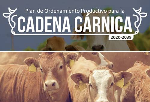 Proyecto de Trazabilidad Animal