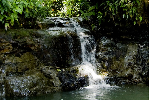 Colombia, Parque Nacional Natural de Uramba Bahía Málaga, ministro de Ambiente Luis Gilberto Murillo, Agenda 2030,  Objetivo de Desarrollo Sostenible 14, CONtexto ganadero, ganadería Colombia