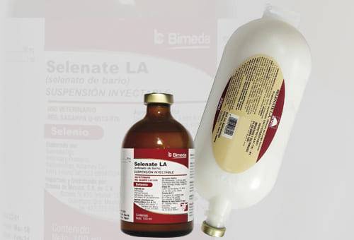 Ganadería, ganadería colombia, noticias ganaderas, noticias ganaderas colombia, CONtexto ganadero, selenio, selenio en ganadería, por qué se usa selenio en ganadería, como se aplica el selenio en bovinos, dosis recomendadas de selenio en bovinos, selenate l.a., Bimeda, selenate bimeda, como se usa selenate, aplicación selenate en bovinos, para que sirve el selenate, estrés oxidativo, Glutatión peroxidasa