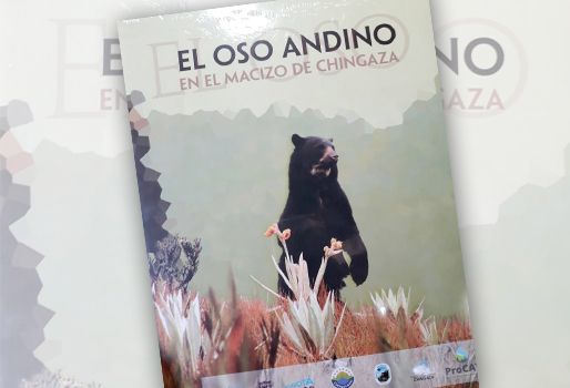 comportamiento, conservación, del oso andino, Parques Nacionales Naturales de Colombia, la Corporación Autónoma Regional del Guavio (Corpoguavio), la Empresa de Acueducto, Alcantarillado y Aseo de Bogotá y la ONG de  PROCAT, publicación, del libro, El oso en el Macizo de Chingaza