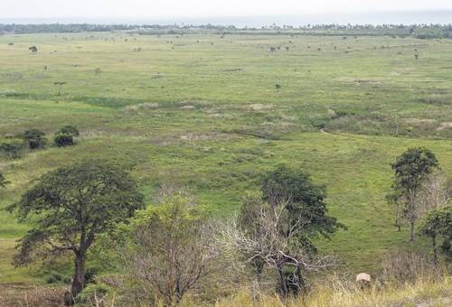 Terreno baldío