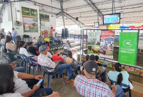 Evento ganadero en Chigorodó