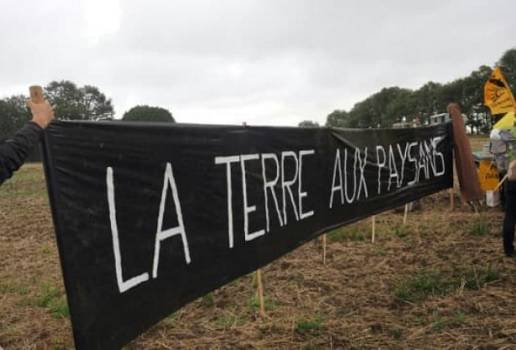Francia, tierra, China, chinos invierten en tierras en Francia, chinos que "acaparan" las tierras, consorcio chino Hongyang, Regular la tenencia de tierras, Emmanuel Macron, sistema para controlar la compra de tierras agrícolas por parte de extranjeros, Ganadería, ganadería colombiana, noticias ganaderas, noticias ganaderas Colombia, CONtexto ganadero
