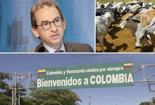 Llamado al mundo, riesgo sanitario de frontera con Venezuela, extensión y porosidad, contrabando de bovinos, inseguridad de fiebre aftosa, Cosalfa, fiebre aftosa en América del Sur, cumbre Cosalfa, CONtexto ganadero, noticias de ganadería colombiana.