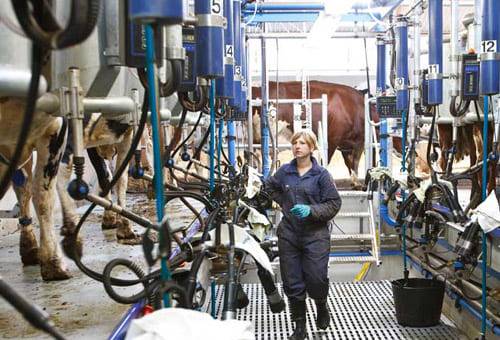retirador automático en maquinas de ordeño