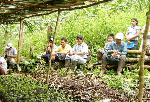 Escuelas de Campo para Agricultores, ECA