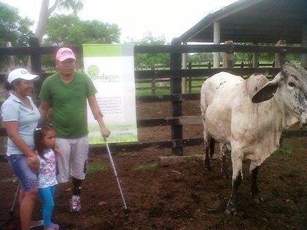 Vaca por la paz