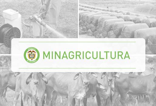 Ministerio Agricultura Aurelio Iragorri Valencia, Programa Identifica, programas Ministerio Agricultura, políticas sector agropecuario Gobierno Nacional, Aurelio Iragorri Valencia, aurelio iragorri valencia noticias, aurelio iragorri valencia promesas, aurelio iragorri valencia campo colombia, promesas aurelio iragorri, CONtexto ganadero, ganaderos Colombia