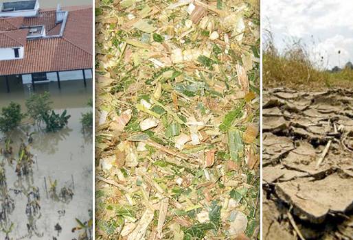 Valle del Cauca, producción láctea Valle del Cauca, falta de atención del Estado a ganaderos Valle del Cauca, afectaciones invierno Valle del Cauca, peticiones ganaderos Valle del Cauca, vías invierno 2016 Valle del Cauca, precio leche noviembre 2016, CONtexto ganadero, ganaderos colombia