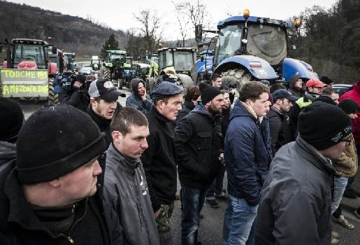 TLC UE Mercosur, Acuerd EU Mercosur, carnede bovino, Federación Nacional de Sindicatos de Propietarios Agrícolas (FNSEA), CONtexto ganadero, ganadería colombia, noticias ganaderas colombia