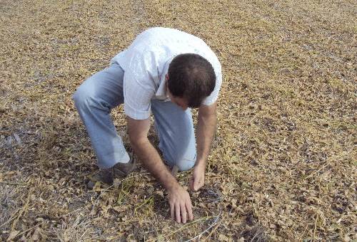 FAO, Minagricultura, daños, pérdidas, sector agropecuario, Gestión del Riesgo, Amenazas, campo, desastres, riesgos agropecuarios, COVID-19, Chocó, guajira, Nariño, Putumayo, Ganadería, ganadería colombia, noticias ganaderas colombia, CONtexto ganadero