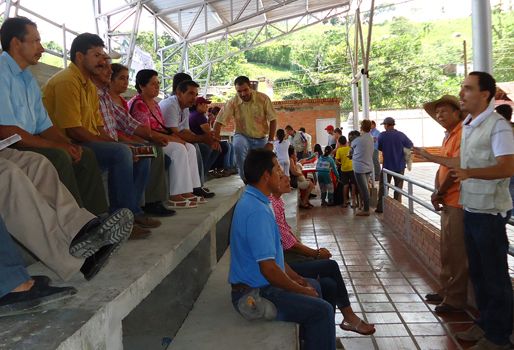 Estas brigadas de salud animal también tendrán lugar en los municipios de Chinacota, Pamplonita, Santiago y Sardinata, entre otros. Foto: Jesús Parada Jaimes. Brigadas de salud animal
