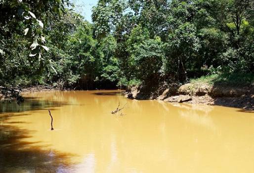 contaminación del agua en Puerto Asís, minería ilegal en Puerto Asís, explotación petrolera en Puerto Asís, preocupación de los ganaderos de Puerto Asís, ganaderos de Puerto Asís, sector ganaderos de Puerto Asís, autoridades no responden, CONtexto ganadero