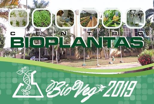 Congreso BioVeg 2019, Cuba,  Centro de Bioplantas de la Universidad de Ciego de Ávila ¨Máximo Gómez Báez¨ - Cuba, 12mo Congreso Internacional de Biotecnología Vegetal y Agricultura, BIOVEG 2019, Contexto ganadero, noticias ganaderas, agricultura de precisión, Productos naturales de plantas