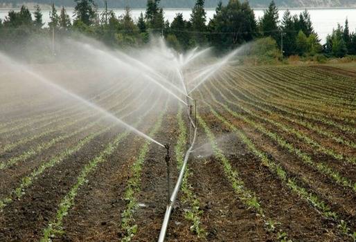 Ganadería, ganadería colombia, noticias ganaderas, noticias ganaderas colombia, CONtexto ganadero, Agua, Cuidado del agua, producción agropecuaria, sistemas agropecuarios, uso del agua en el agro, Cambio climático, mitigar el cambio climático, sistemas agropecuarios adaptados al cambio climático