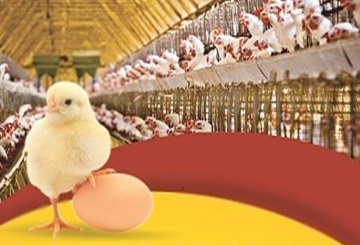 XVI jornada de actualización