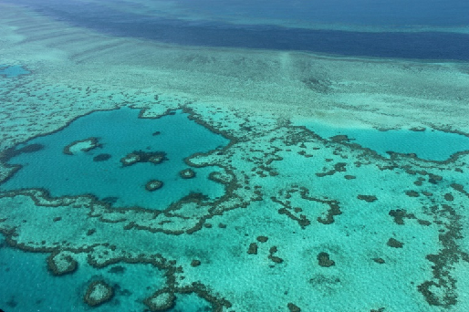 blanqueo del coral, blanqueo del coral de la Gran Barrera de Australia, El blanqueo del coral de la Gran Barrera de Australia es más grave de previsto, Parque Marino de la Gran Barrera (GBRMPA), Parque Marino de la Gran Barrera (GBRMPA), Russell Reichelt, CONtexto ganadero, ganadería Colombia