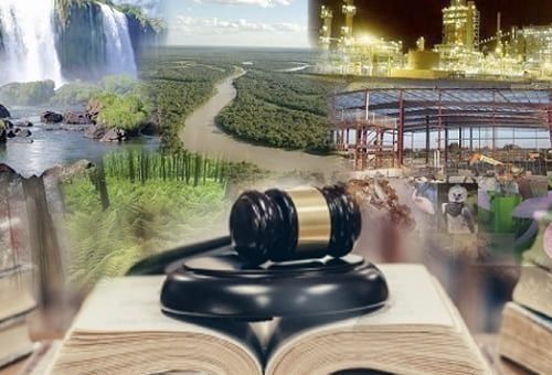 Delitos ambientales, proyecto de ley, penas, cárcel, deforestación, Medio Ambiente, MinAmbiente, Código Penal, financiación de la deforestación, salarios mínimos, apropiación ilegal, lotes baldíos, ecosistemas, Recursos Naturales, Fiscalía, judicialización, pago por servicios ambientales, Ganadería, ganadería colombia, noticias ganaderas colombia, CONtexto ganadero