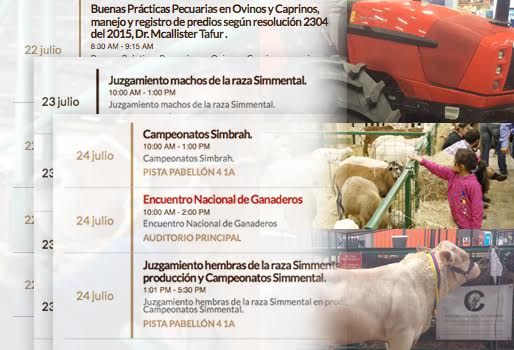 feria nacional ganadería colombia, feria nacional ganadería colombia agenda, feria nacional ganadería colombia noticias, feria nacional ganadería colombia bogotá, contexto ganadero