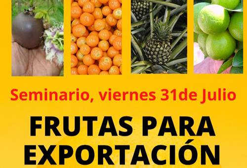 gulupa, uchuva, limón Tahití, piña, frutas de exportación, frutas colombianas de exportación, seminario frutas para exportación, Escuela del Agro, periódico El agro, eventos periódico El Agro, eventos Escuela del Agro, Escuela del Agro Colombia, capacitación virtual, coronavirus, coronavirus Colombia, COVID-19, cuarentena, Ganadería, ganadería colombia, noticias ganaderas, noticias ganaderas colombia, CONtexto ganadero