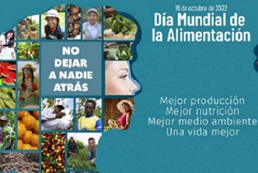 Día Mundial de la alimentación