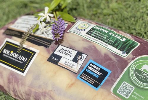 Uruguay logró reducir emisiones de gases de efecto invernadero gracias a mejores prácticas en ganadería y exporta carne certificada como carbono neutro. Foto: dialogochino.net carne carbono neutro en Uruguay