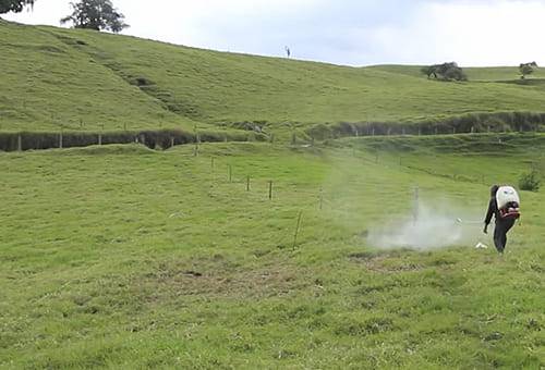 Abonar, pastos, pasturas, potreros, finca, forraje, productividad, alimento, eficiencia, negocio, rentabilidad, lechería, estiércol, orina, ganado, consumo, rotación, manejo agronómico, clima, análisis de suelos, nutrientes, úrea, cal, foliar, insecticidas, garrapatas, Ganadería, ganadería colombia, noticias ganaderas colombia, CONtexto ganadero