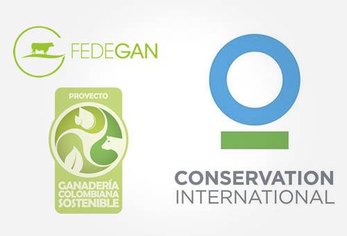 ganadería, ganadería colombia, noticias ganaderas, noticias ganaderas colombia, contexto ganadero, ganadería colombiana sostenible, ganadería sostenible, Acuerdo Cero deforestación, paisajes ganaderos, ganadería sostenible, conservation international, charla conservation international 