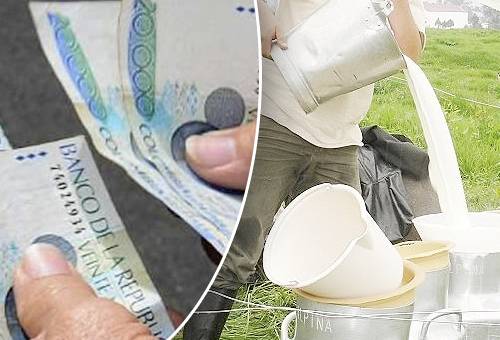 Precio leche Colombia, índice de precios al consumidor, precio pagado al productor, precio leche ganaderos, leche, precios, importaciones, consumidor, productor, clima, Sequía, Alimentos, faltante, holstein, Consejo Nacional Lácteo, industria, aftosa, Heladas, Bolsa Mercantil de Colombia, precio queso Colombia, precio derivados lácteos Colombia, ganado bovino, ganadería bovina, Ganadería, ganadería colombia, noticias ganaderas, noticias ganaderas colombia, CONtexto ganadero, contextoganadero