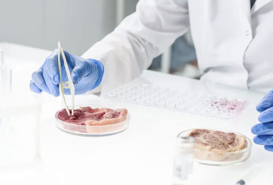 deteccion hormonas carne