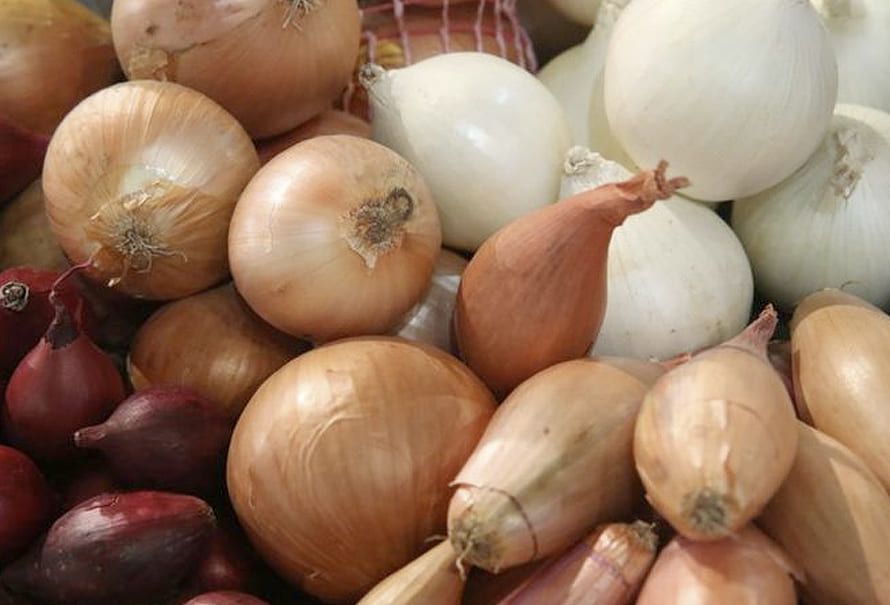 pais cebolla mas cara carne