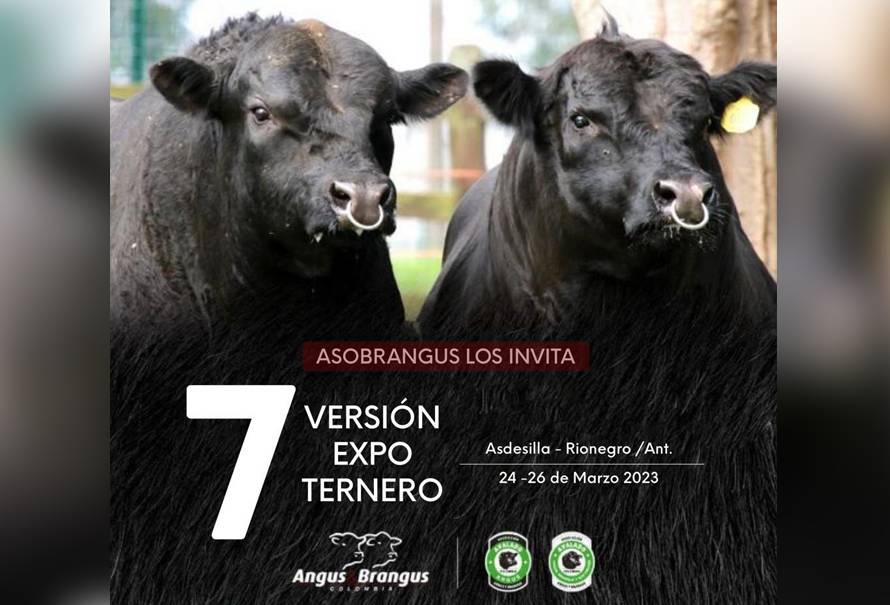 invitacion Expo terneros asobrangus