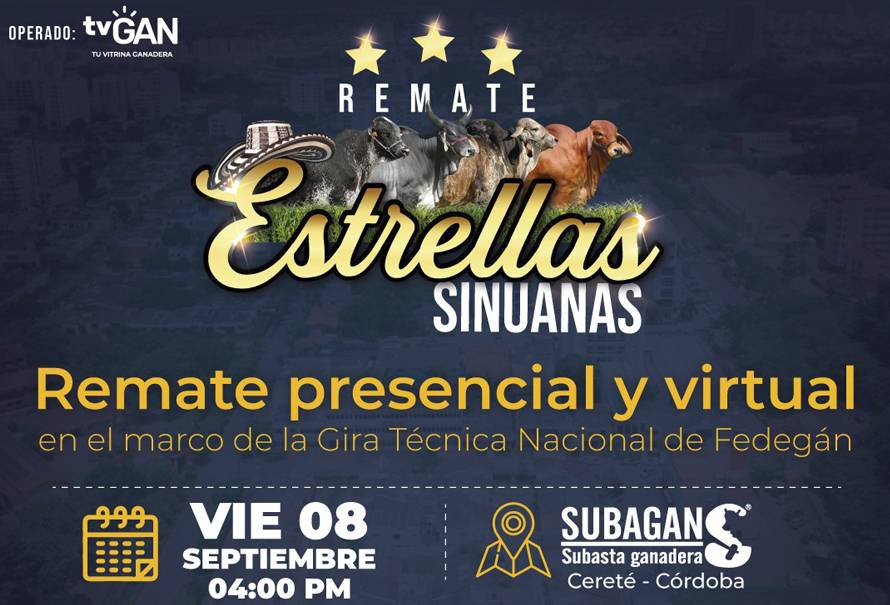 remate-estrellas-sinuanas