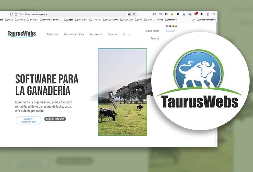 taurusweb